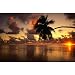 (23x35) Aitutaki Lagoon (Palm Tree, tropical Sunset) Art Poster Print (23x35) Aitutaki Lagoon (Palm Tree, tropical Sunset) Art Poster Print
