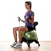 Gaiam Ergonomic Balance Ball Chair - Black