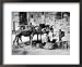 Camels Drinking from Davids Well Bethlehem Israel Framed Art Poster Print, 22x18