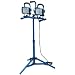 Draper 69209 2 X 250W Halogen Lamp/Tele 110