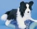 Plush Chase Border Collie 16