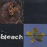 BLEACH
