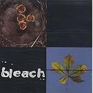 Bleach