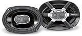 Polk Audio AA2691-A MM691 6x9 3-Way Speaker