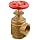 Moon 171-1561 Brass Angle Hose Valve, 1-1/2" Female NPT