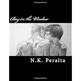 boy in the window a gay youth coming out story