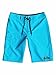 Quiksilver Big Boys' Everyday 21 Board Short Gray