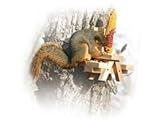 Picnic Bench Corn Feeder