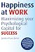 Happiness at Work: Maximizing Your Psychological Capital for Success Image of Happiness at Work: Maximizing Your Psychological Capital for Success