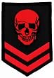 Red Skull Military Patch Embroidered Iron-On Skeleton Brigade Emblem