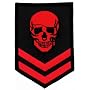 Red Skull Military Patch Embroidered Iron-On Skeleton Brigade Emblem