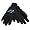 Carolina Panthers