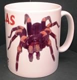 Tarantula spider MUG