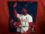 St. Louis Cardinals Ozzie Smith Autographed 8x10 Photo, Proof Photo of Ozzie Signing for Us.
