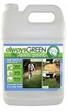 Always Green Lawn Paint Quart Size Concentrate