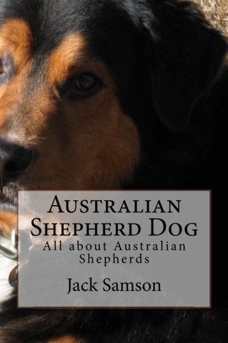 Australian Shepherd Dog: All about Australian Shepherds