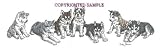 Siberian Husky - Puppies in a Row by Cindy Farmer