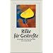 Rilke f�r Gestre�te (insel taschenbuch)