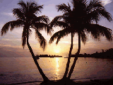 ZLauncher Background Image/Wallpaper Sunsets LowRes 160x160 downloadable Software