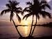 ZLauncher Background Image/Wallpaper Sunsets LowRes 160x160 downloadable Software