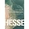 Hermann Hesse: Author