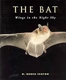 The Bat: Wings In the Night Sky