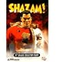 Shazam 13" Deluxe Collector Figure