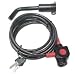 Sporting Goods : Hollywood Racks LPCS-2 Locking Hitch Pin and Security Cable (2-Inch Receiver))