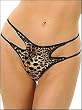 Animal Instinct Thong
