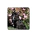 French Bulldog Rubber Square Coaster (4 pack)