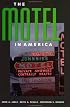 The Motel in America (The Road and American Culture)