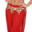 Golden Coin Belt with Triangles