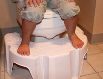 Little Looster Potty Stool
From Little Looster
