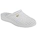 San Malo Womens/Ladies Coated Leather Clogs