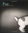 Pup