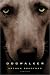 Dogwalker: Stories