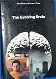 The evolving brain