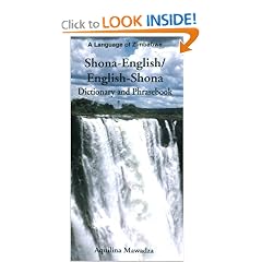 Shona-English/English-Shona Dictionary and Phrasebook (Dictionary and Phrasebooks)