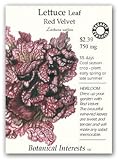 Lettuce Leaf Red Velvet Certified Organic Seed