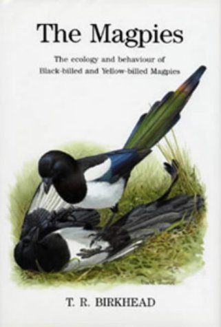 The Magpies: The Ecology and Behaviour of Black-billed and Yellow-billed Magpies (Poyser Popular Bird Books)