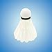 TZ International 12x Training White Goose Feather Shuttlecocks Birdies Badminton Ball Game Sport Training Game Fans Practicing (1 set)