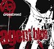 Crossbreed