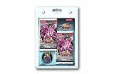 Produkt-Bild: Yu-Gi-Oh! 14355 - Duelist Pack Yusei 2 4-er Clamshell