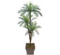 One 6' Cycas Artificial Palm Tree with Tripled Heads _Plastic Fronds