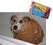 Kitchen & Housewares : Pet Cat Rabbit Dog Micro Fibre Towel - 92 X 46 CM