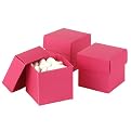 Mix and Match Favor Boxes - Fuchsia