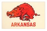 Arkansas Running Razorback MasterPoster Print, 18x12
