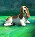 BASSET HOUND DOG lays down RESIN Figurine 502