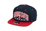 MLB Men's Minnesota Twins Arched Snapback Cap (Navy/Red, Adjustable)