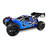 Shockwave 1 10 Scale Nitro Buggy 4 Wheel Drive
